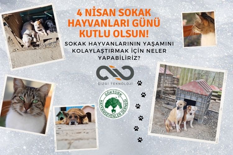 4 Nisan Sokak Hayvanları Günü Kutlu Olsun!